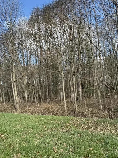 0 California, Weesaw, MI 49125