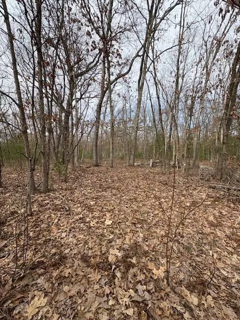 Macdougall Drive, Valley, MI 49010