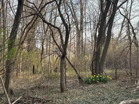17680 M-140, South Haven, MI 49090
