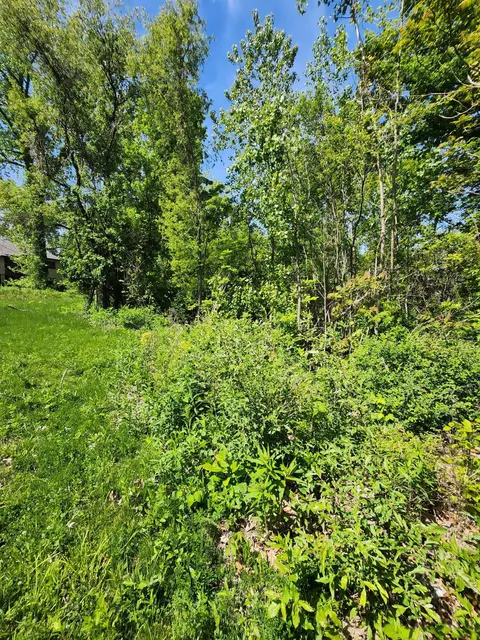 Undisclosed, Buffalo, MI 49117