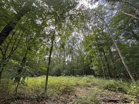 4540 Ross Dr, Benton, MI 49022