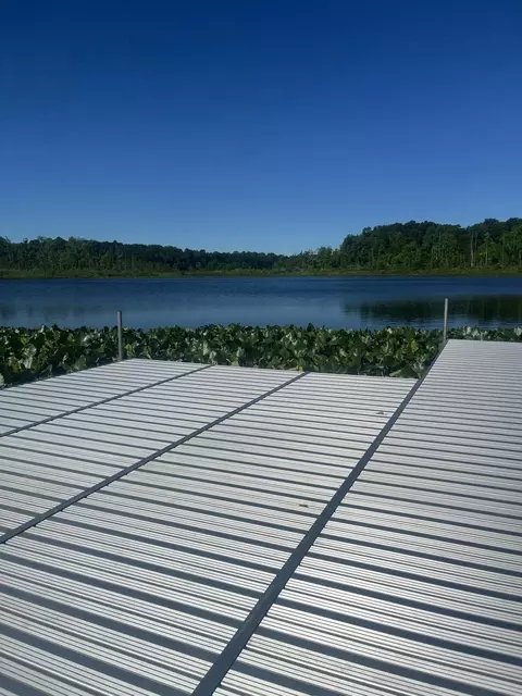 View/Area - 64778 Union Rd, Calvin, MI 49031 photo 2 of 2