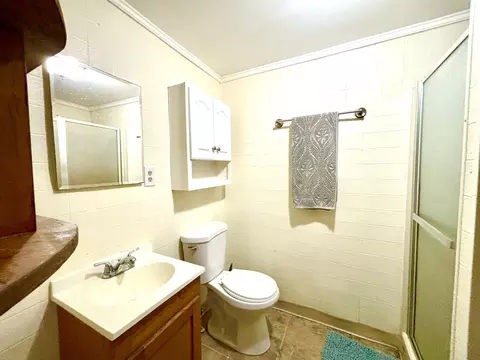 Bath - 210 E Ash St, Three Oaks, MI 49128 photo 4 of 4