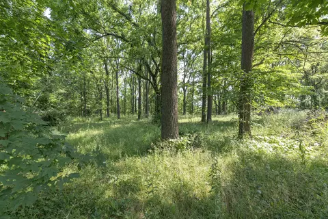 68555 Union Rd, Porter, MI 49130 photo 34