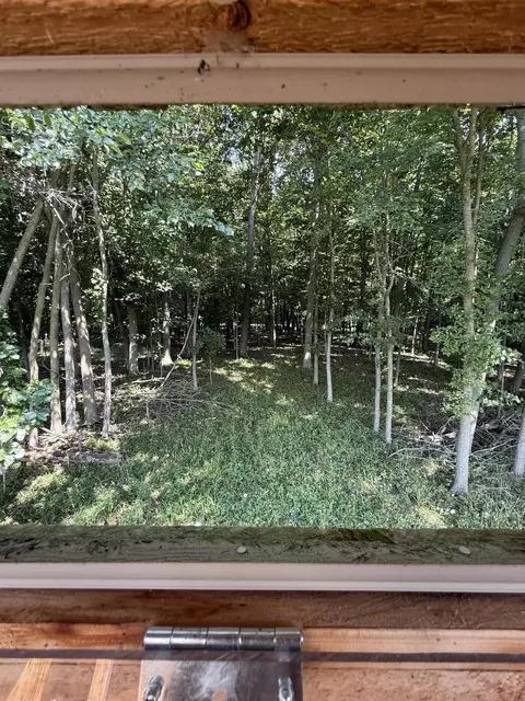 View/Area - 8670 N Baldwin Rd, Rush, MI 48841 photo 4 of 4