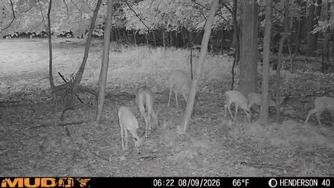 Other - 8670 N Baldwin Rd, Rush, MI 48841 photo 34 of 53