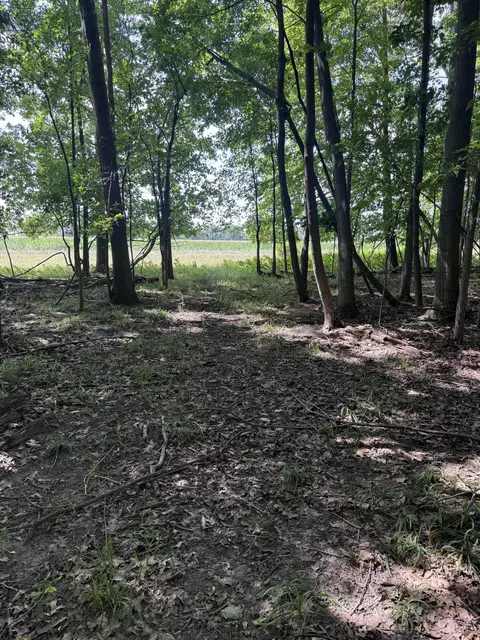 Other - 8670 N Baldwin Rd, Rush, MI 48841 photo 50 of 53