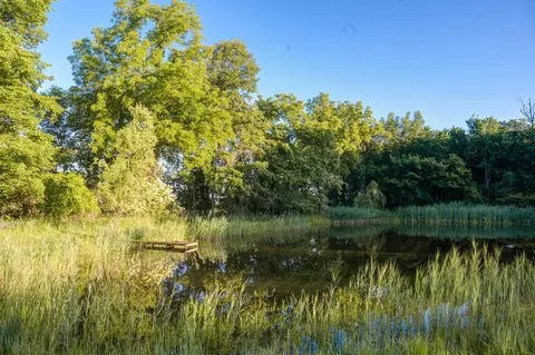 Other - 5665 W Phillips Rd, Three Oaks, MI 49128 photo 6 of 10