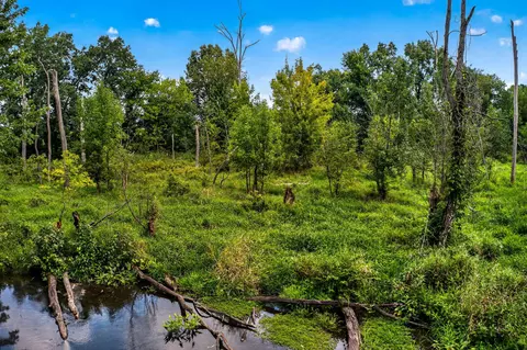 View/Area - 61519 Neaman Rd, Lockport, MI 49042 photo 8 of 12