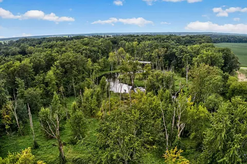 View/Area - 61519 Neaman Rd, Lockport, MI 49042 photo 5 of 12
