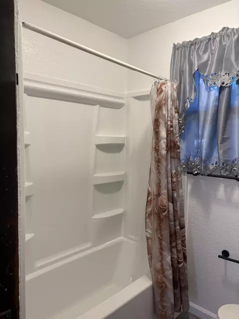Bath - 341 E Napier Ave, Benton, MI 49022 photo 5 of 5