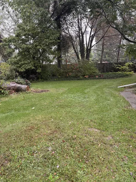 Exterior - 341 E Napier Ave, Benton, MI 49022 photo 12 of 12