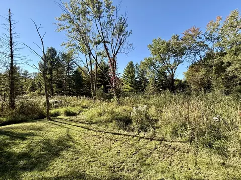 Exterior - 1053 Able Rd, Buchanan, MI 49107 photo 15 of 17