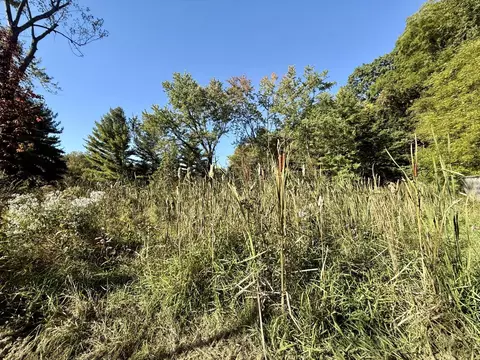 Exterior - 1053 Able Rd, Buchanan, MI 49107 photo 9 of 17
