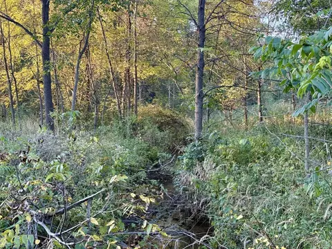 Other - 1053 Able Rd, Buchanan, MI 49107 photo 16 of 18