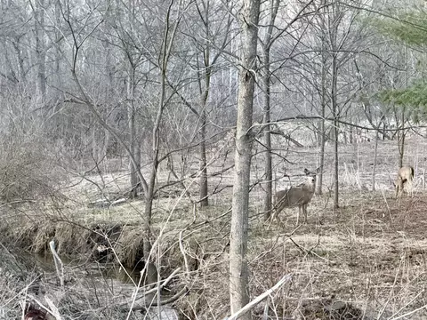 Other - 1053 Able Rd, Buchanan, MI 49107 photo 13 of 18