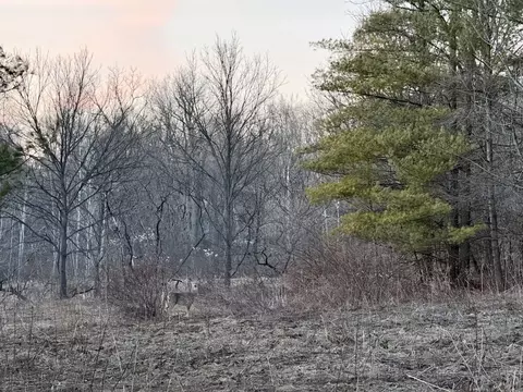 Other - 1053 Able Rd, Buchanan, MI 49107 photo 14 of 18