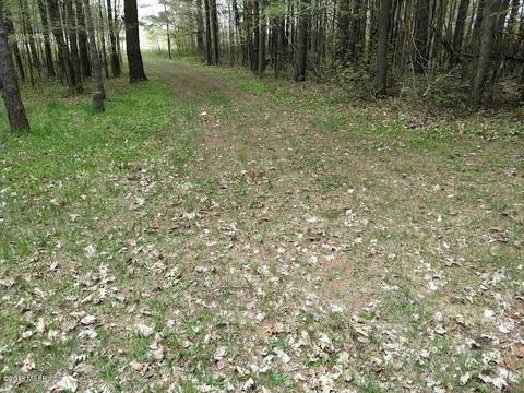 5734 E Tyler Rd, Walkerville, MI 49459 photo 1