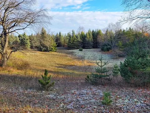 Wells Road, Thompsonville, MI 49683