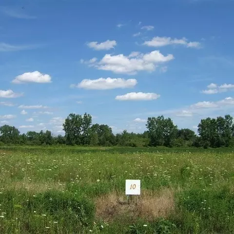APT 10 Ashley Lane, Berlin, MI 48002