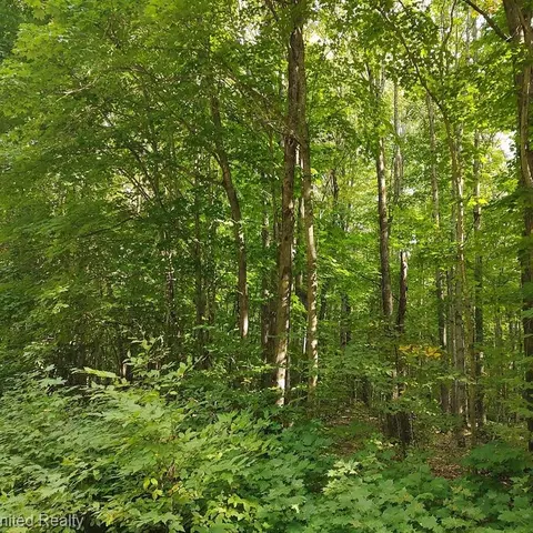 lot391 Forestview Circle Cir, Hayes, MI 49730