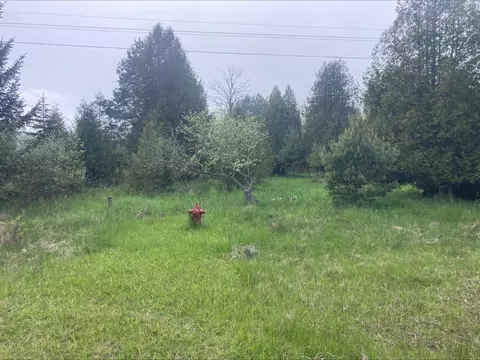 Lakeshore, Sherman, MI 48441