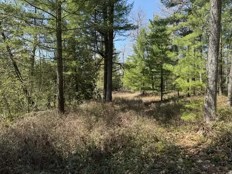 Parcel 6 West Au Sable Point Road, Au Sable, MI 48750
