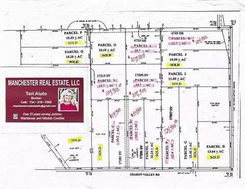 Parcel F Sharon Valley Road, Manchester, MI 48158