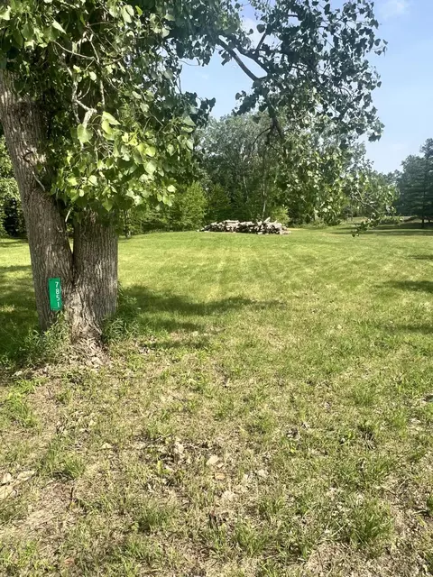 7851 E Monroe Rd, Ridgeway, MI 49286