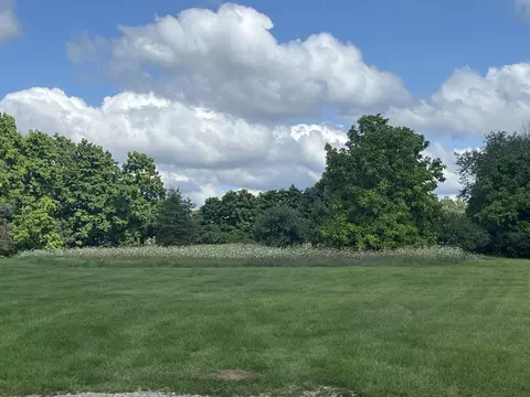 19744 Deerfield Ct, Chelsea, MI 48118