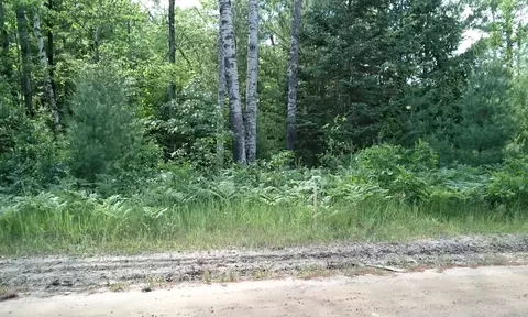 0 Morrison Rd, Mills, MI 48610