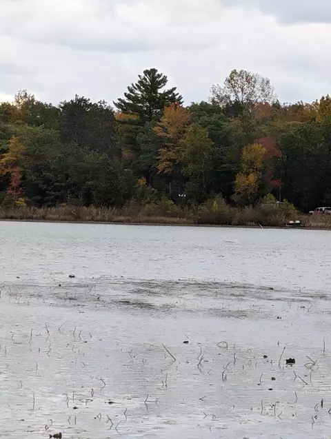 00 W Cedar Lake Rd, Unknown, MI 48738