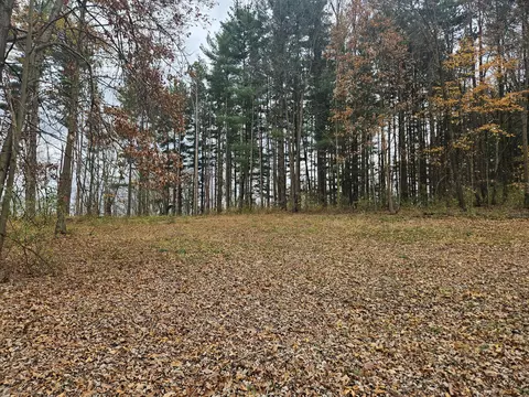 14775 Roepke Rd, Unadilla, MI 48137
