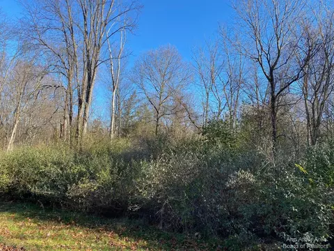 9010 Timber Ln, Webster, MI 48189