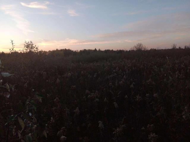 1628 Westfield Rd, Unknown, MI 48610