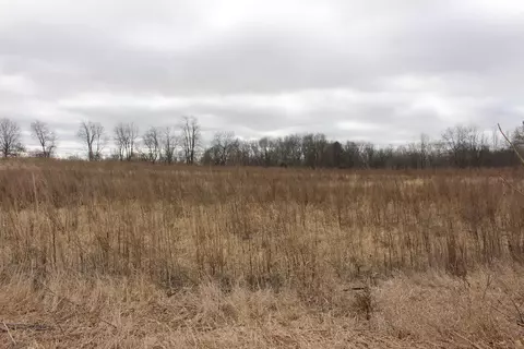 000 Sager, Grass Lake, MI 49240