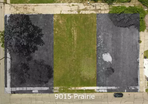 9015 Prairie St, Detroit, MI 48204