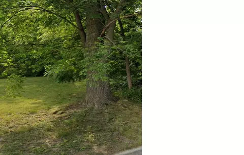 165 N Roselawn St, Pontiac, MI 48342