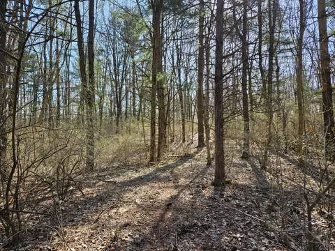 0 Pierce Parcel C Rd, Sylvan, MI 48118