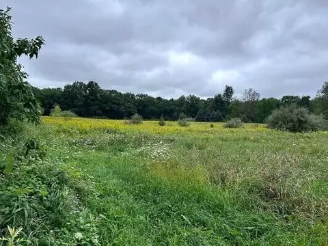 Weller Road, Iosco, MI 48137