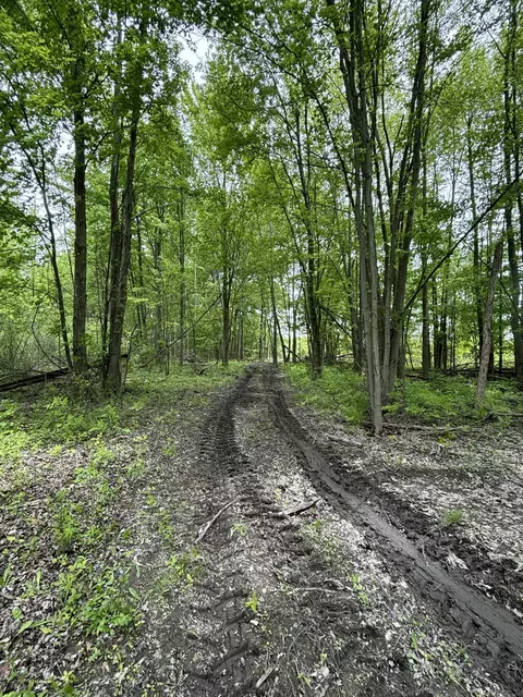 Reeves, Riley, MI 48041
