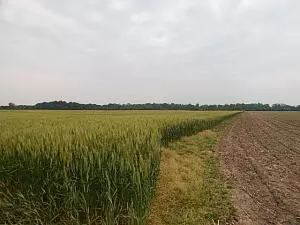 6200 Yankee Rd, Whiteford, MI 49267