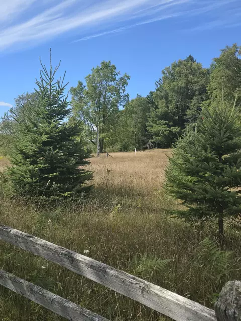 11750 17 Mile Rd, Hartwick, MI 49655