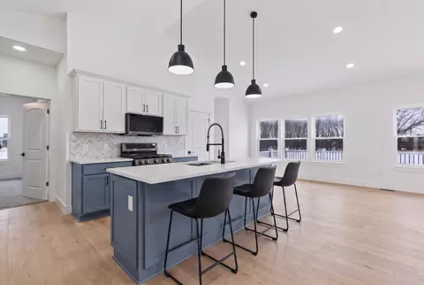 Kitchen - 4909 Schmitz Ct, Adrian, MI 49221 photo 1 of 1