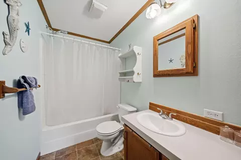 Bath - 448 Raisin River Dr, Adrian, MI 49221 photo 2 of 2
