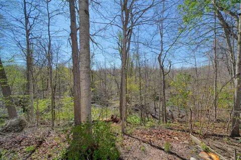 Exterior - 448 Raisin River Dr, Adrian, MI 49221 photo 8 of 10
