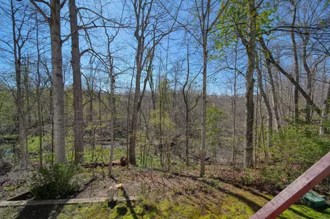 Exterior - 448 Raisin River Dr, Adrian, MI 49221 photo 6 of 10
