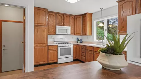 8395 Huron River Dr, Webster, MI 48130 photo 14