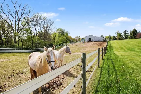 2536 W Coon Lake Rd, Marion, MI 48843