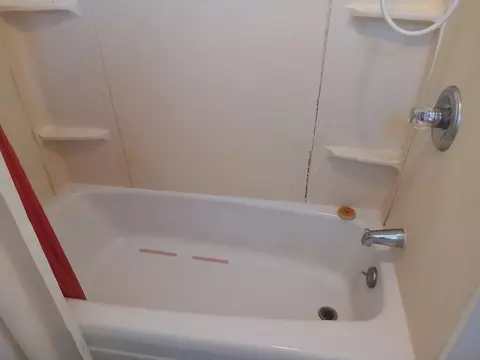 Bath - 844 Backus St, Jackson, MI 49202 photo 3 of 3